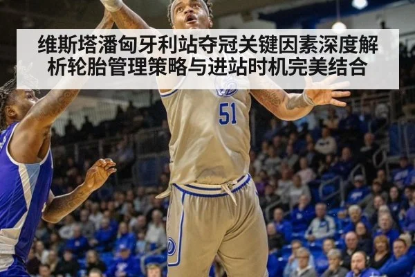维斯塔潘匈牙利站夺冠关键因素深度解析轮胎管理策略与进站时机完美结合